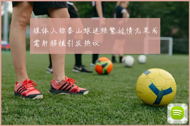 媒体人称泰山球迷频繁讨债无果或需肝移植引发热议