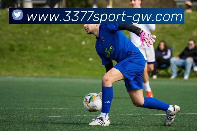 3377体育平台生态图